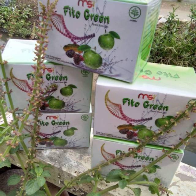 FITO GREEN MSI
