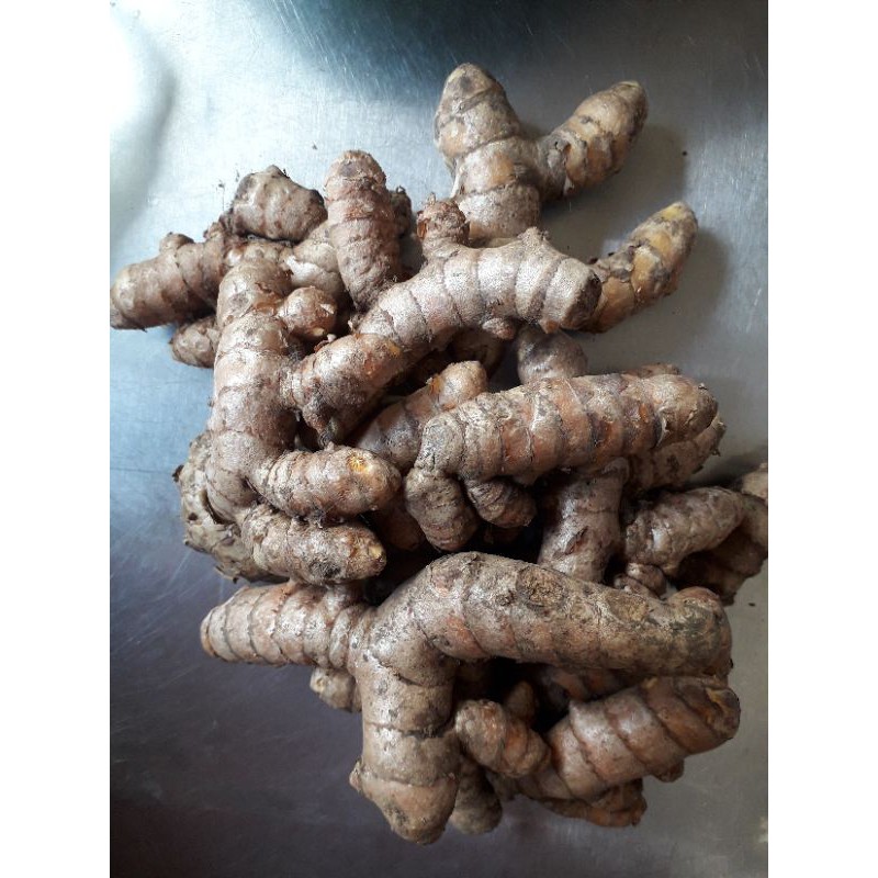 

Kunyit kunir segar 250gr