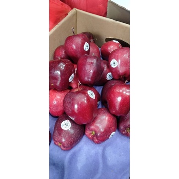 

buah apel merah manis garing