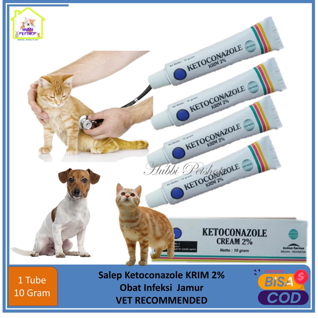 Obat Jamur Kucing Obat Salep Jamur Scabies Kucing Kitten anjing kelinci kambing dan iritasi kulit