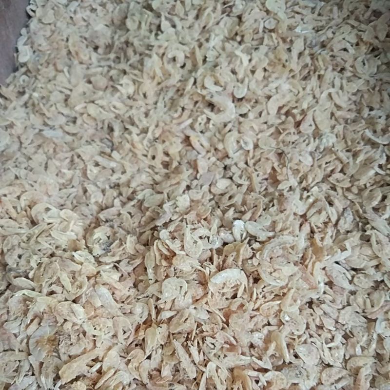 

Udang Rebon Kering Tawar / Asin 100gr