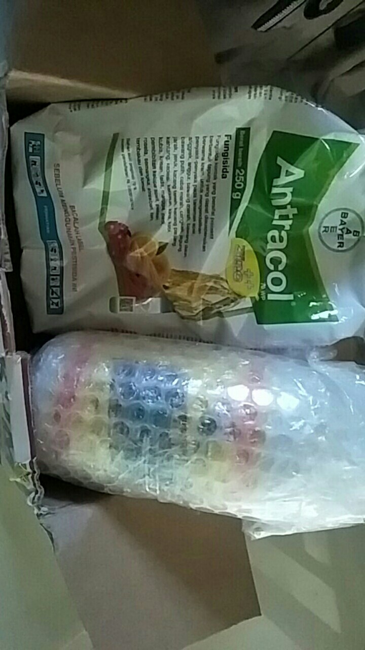 Fungisida Antracol 70 Wp Zinc Kemasan Pabrik 250 Gram - Bayer