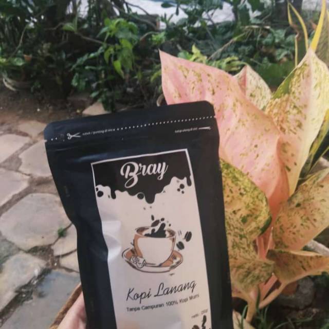 

Kopi bray