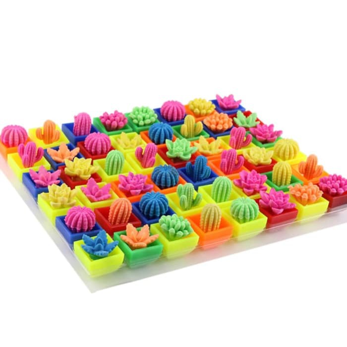 Growing in Water Cactus Toys (6pcs)