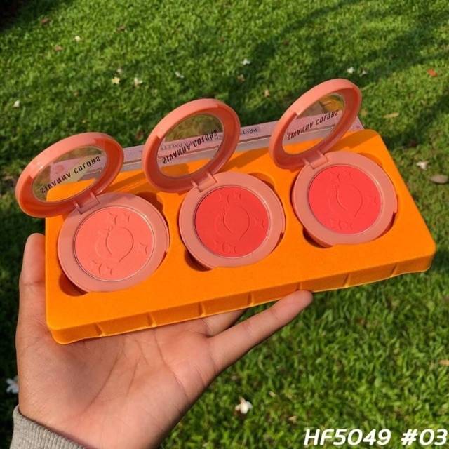 SIVANNA COLORS Pretty Peach Blusher Palette #HF5049 Thailand / Blush On / Blushon / Cosmetic Makeup