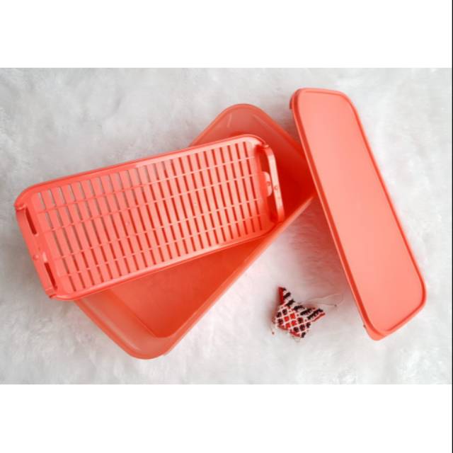 Tupperware Guava Crisper