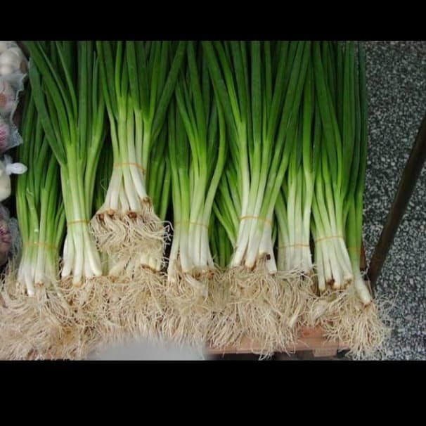 

ds001vv Daun Bawang Segar 250Gr Fsfs201