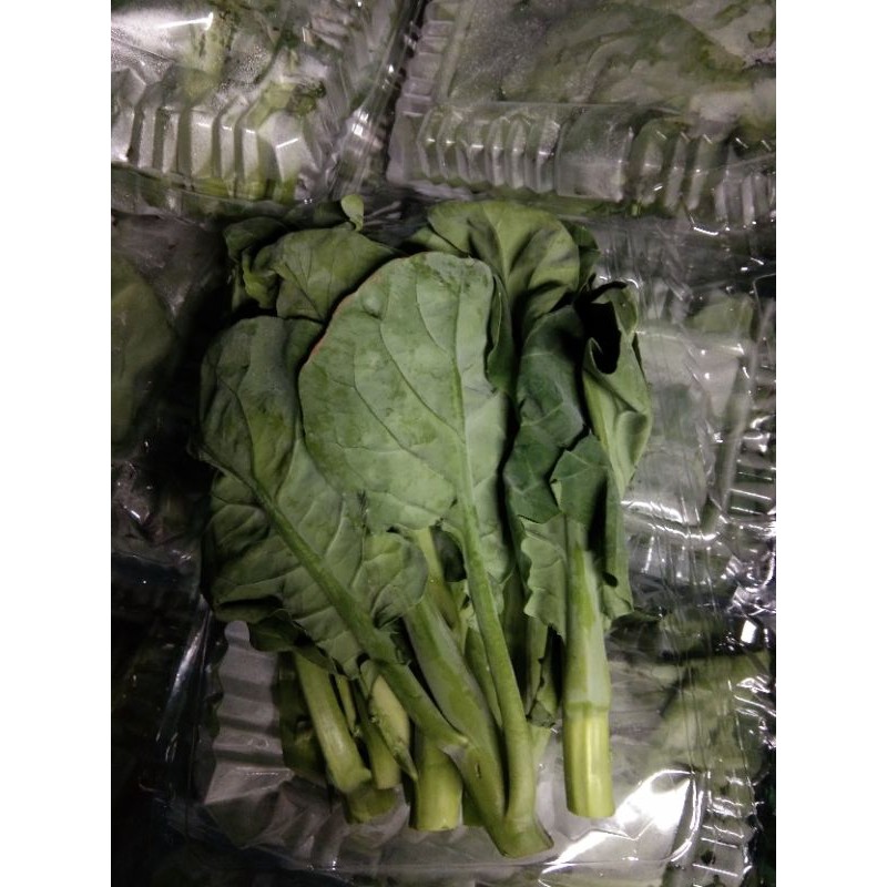 

import kailan daun