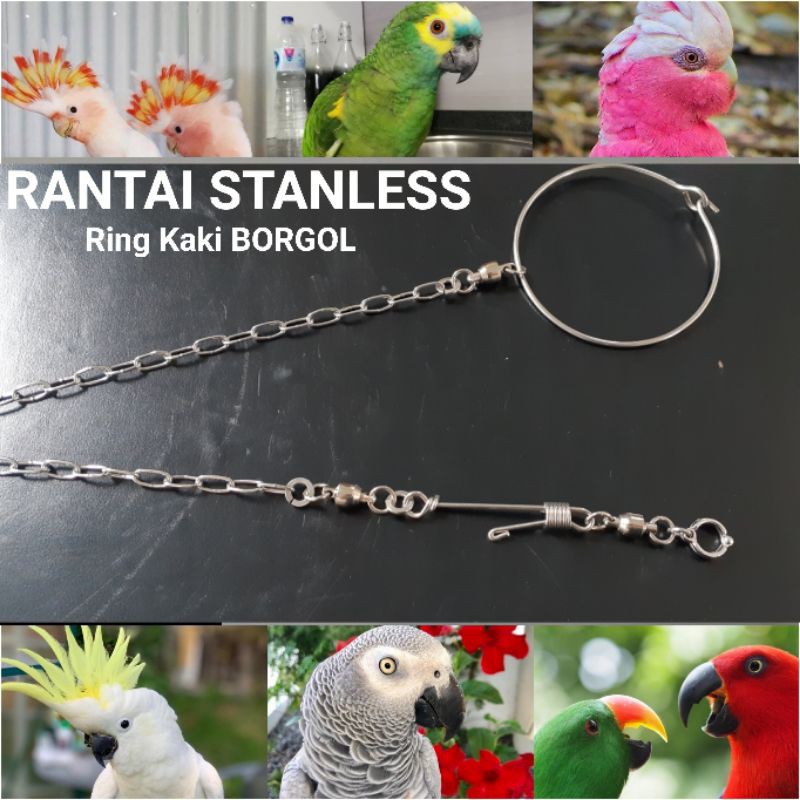 Rantai Afgrey Ring Borgol