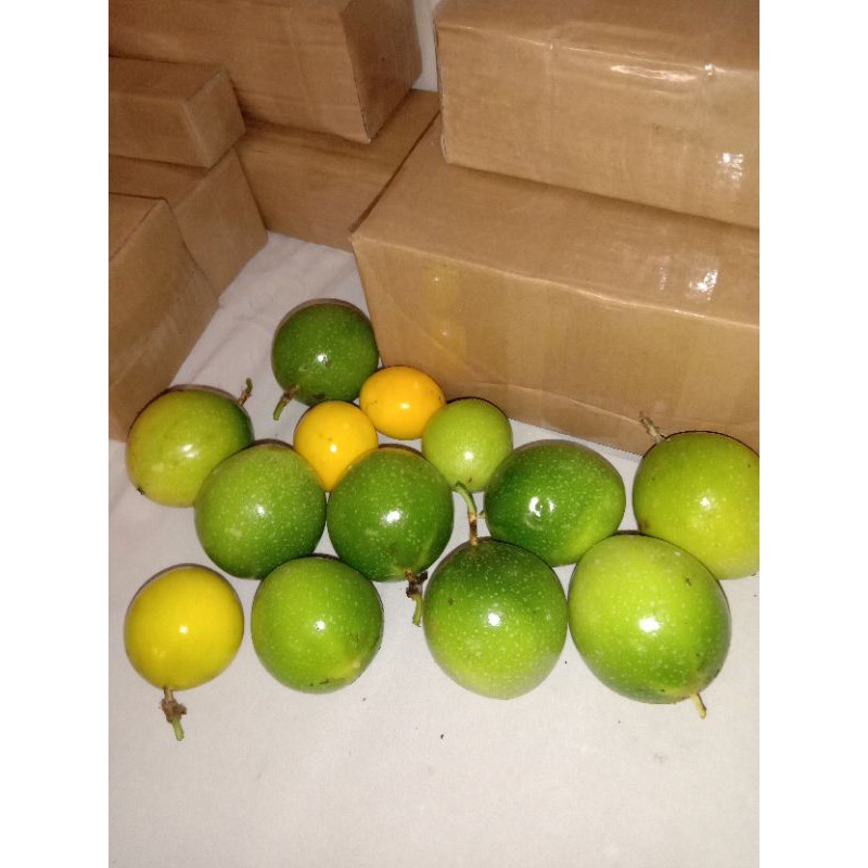 

buah markisa 500 grm