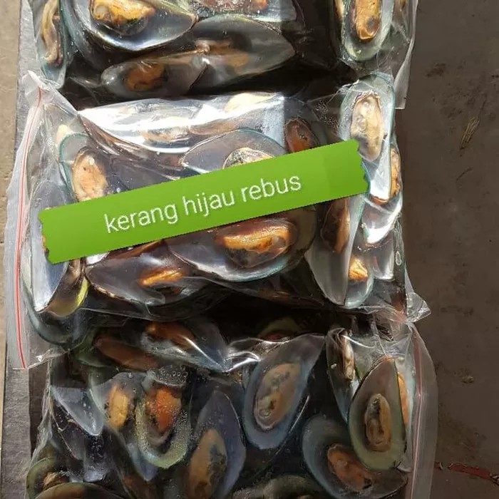 Kerang Hijau Rebus/ Green Mussel Premium Quality