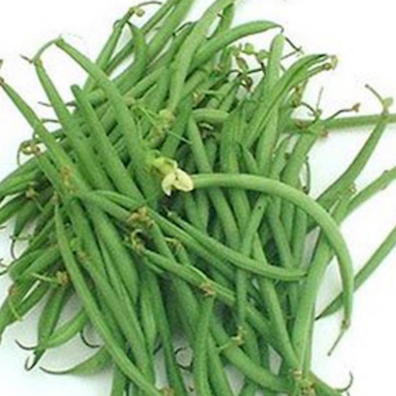 Buncis Perancis Organik 200g / Organic Baby Green Beans 200g