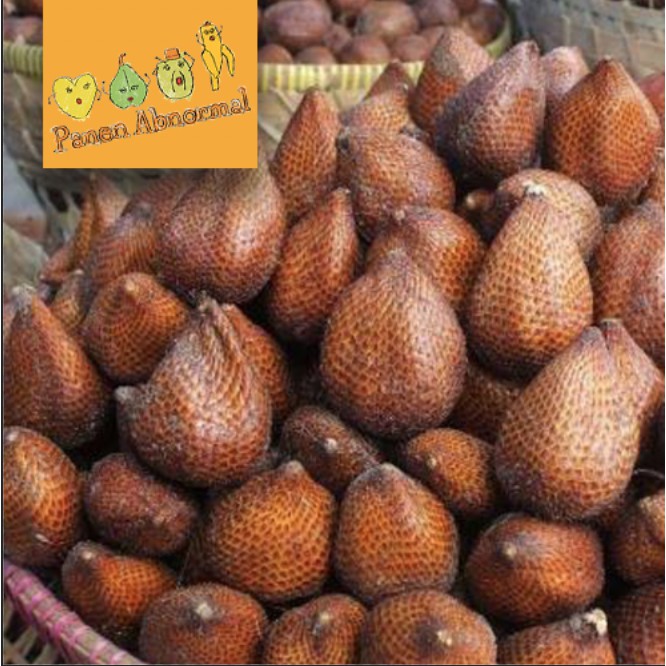 

Salak Besar per Kg Panen Abnormal