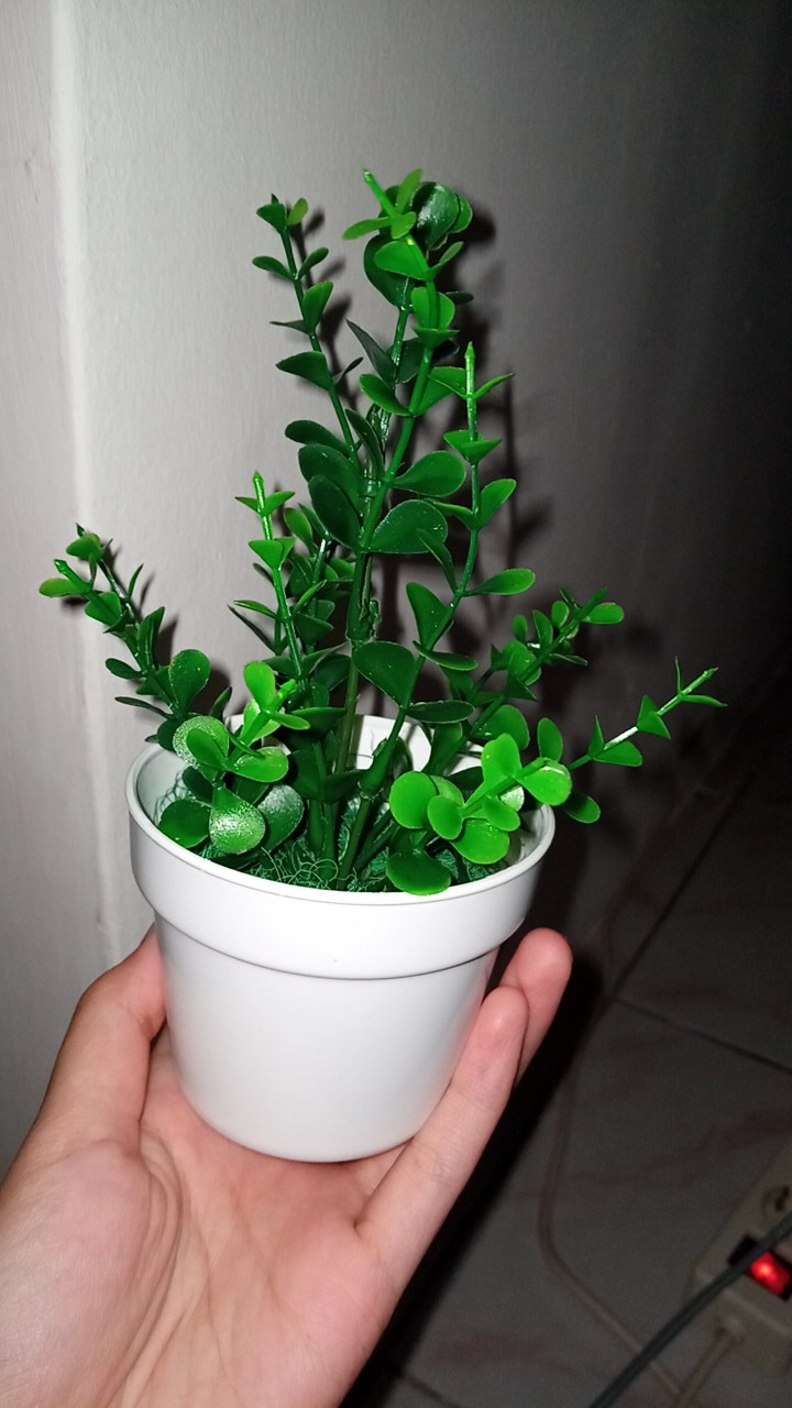 Set Pot + Bunga Hias Rumput Bunga Palsu Bunga Plastik Rumput Artifisial  Hiasan Rumah Shabby Lover