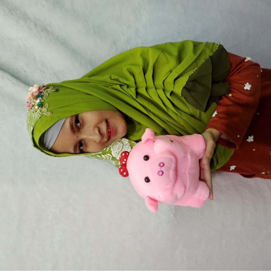 Boneka babi s murah figle