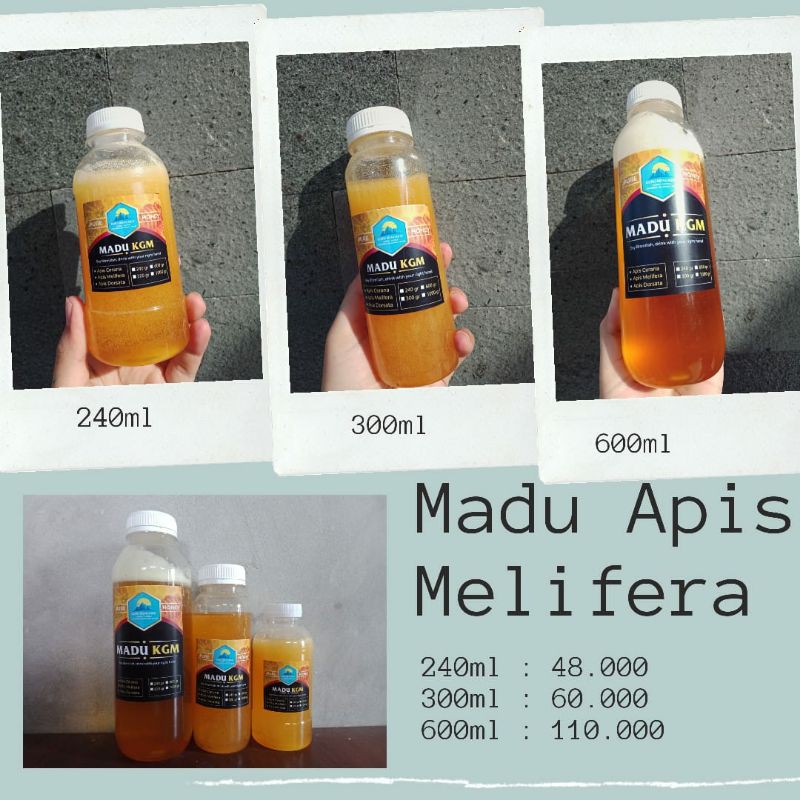 

Madu KGM Apis Melifera