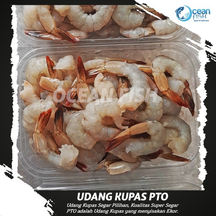 Jual Udang Kupas Pto Udang Kupas Segar Fresh Seafood Udang Kupas