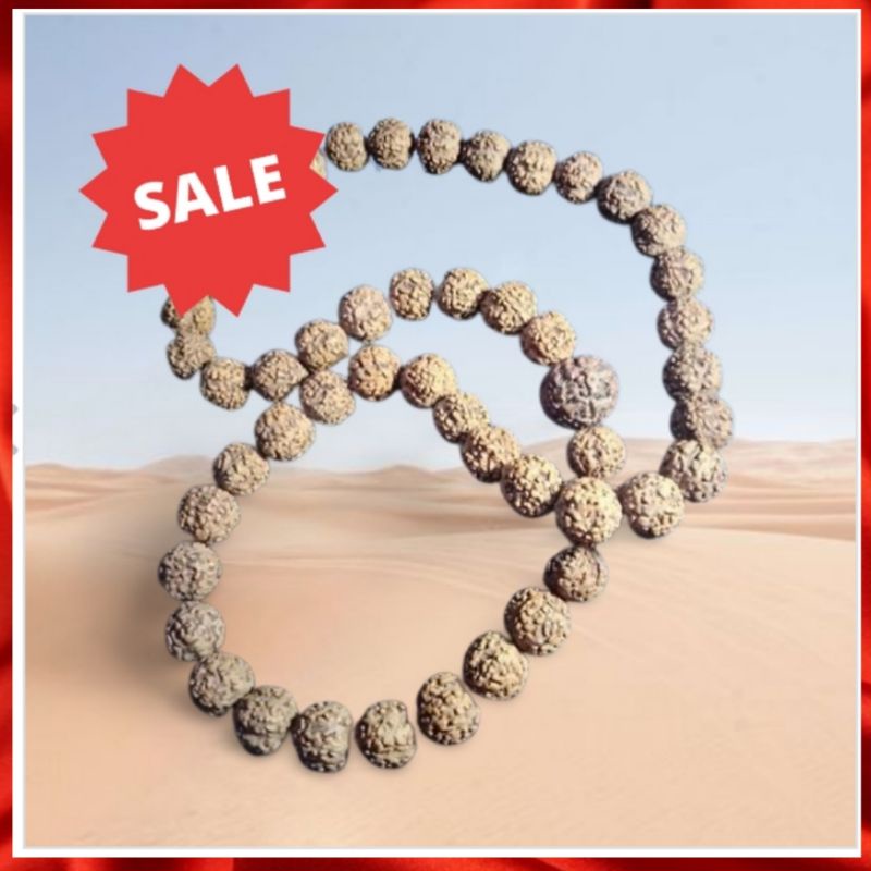 KALUNG JENITRI RUDRAKSHA