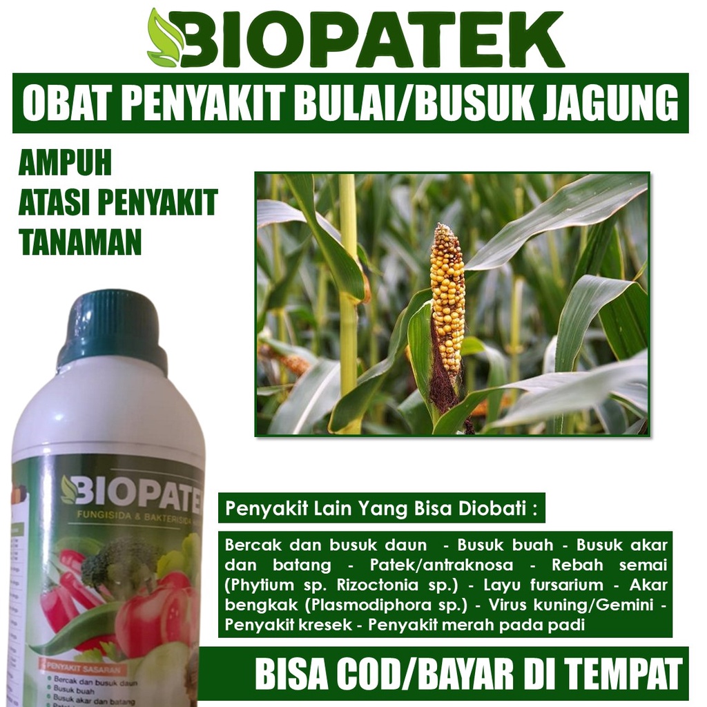 FUNGISIDA Hayati Busuk Buah Jagung Biopatek - Cara Mengobati Busuk Kerdil Jagung, Pupuk Mosaik Jagung Kecil, Obat Busuk Buah Daun Batang Tanaman Jagung, Pupuk Busuk Tanaman Jagung Paling Manjur dan Alami - Fungisida BIOPATEK 500 ML