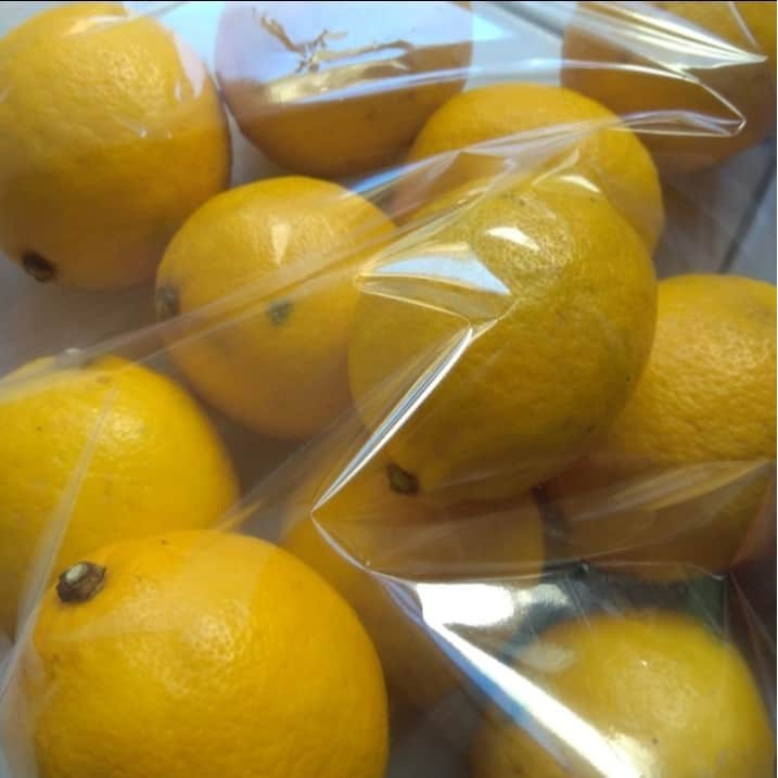 

JERUK CALIFORNIA ORGANIK