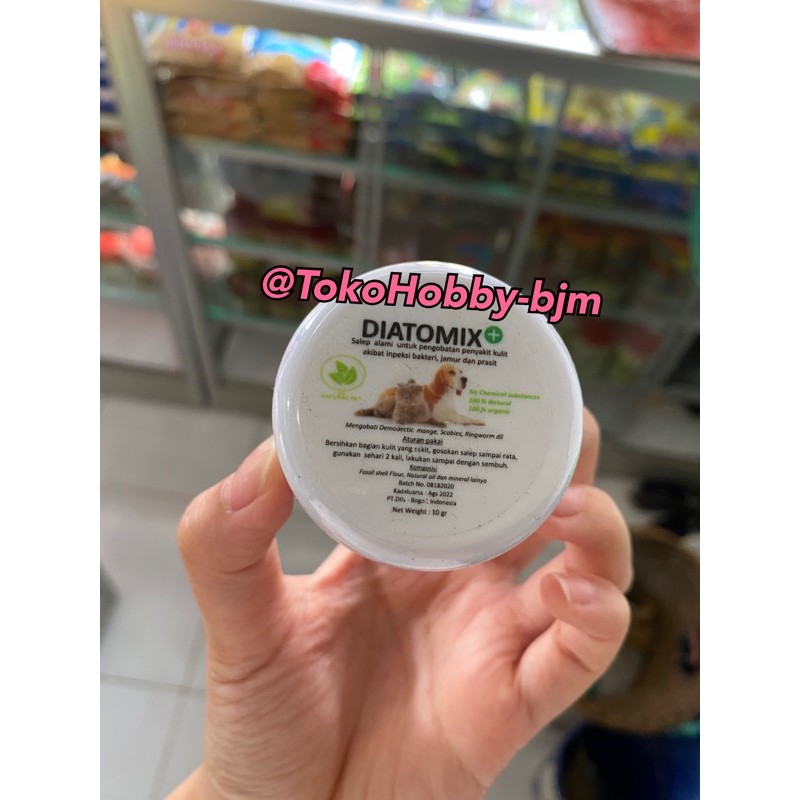 diatomix salep jamur scabies anjing kucing hewan kelinci burunv