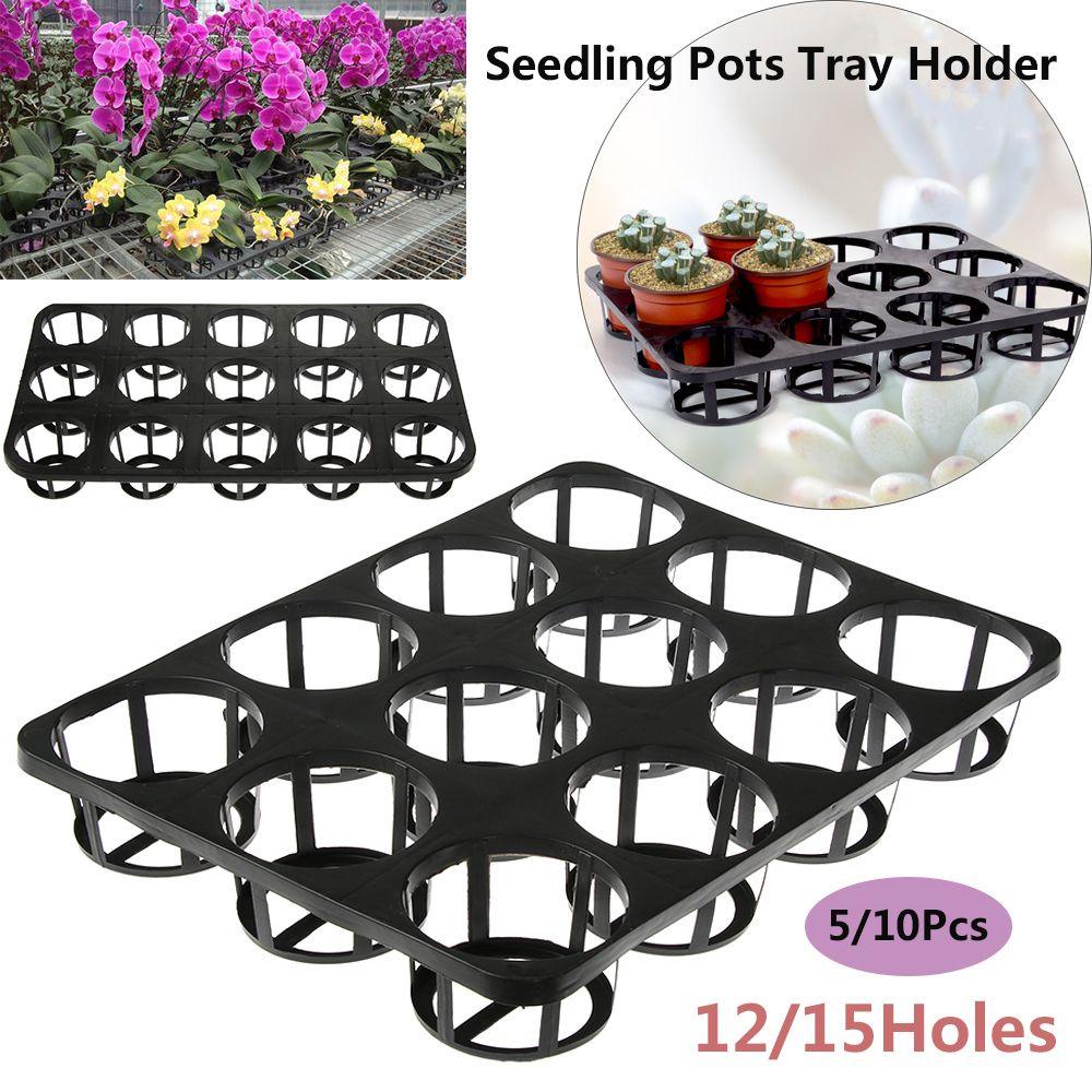 Solighter 5/10PCS Nampan Tanam Grid Divided Plastik Sprout Plate Perlengkapan Taman Bentuk Phalaenopsis 12per15lubang Braket Baskom