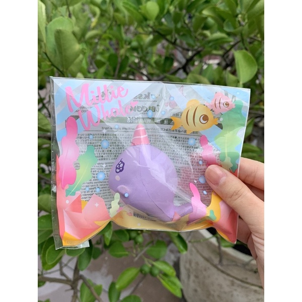 Ibloom Mini Millie The Whale