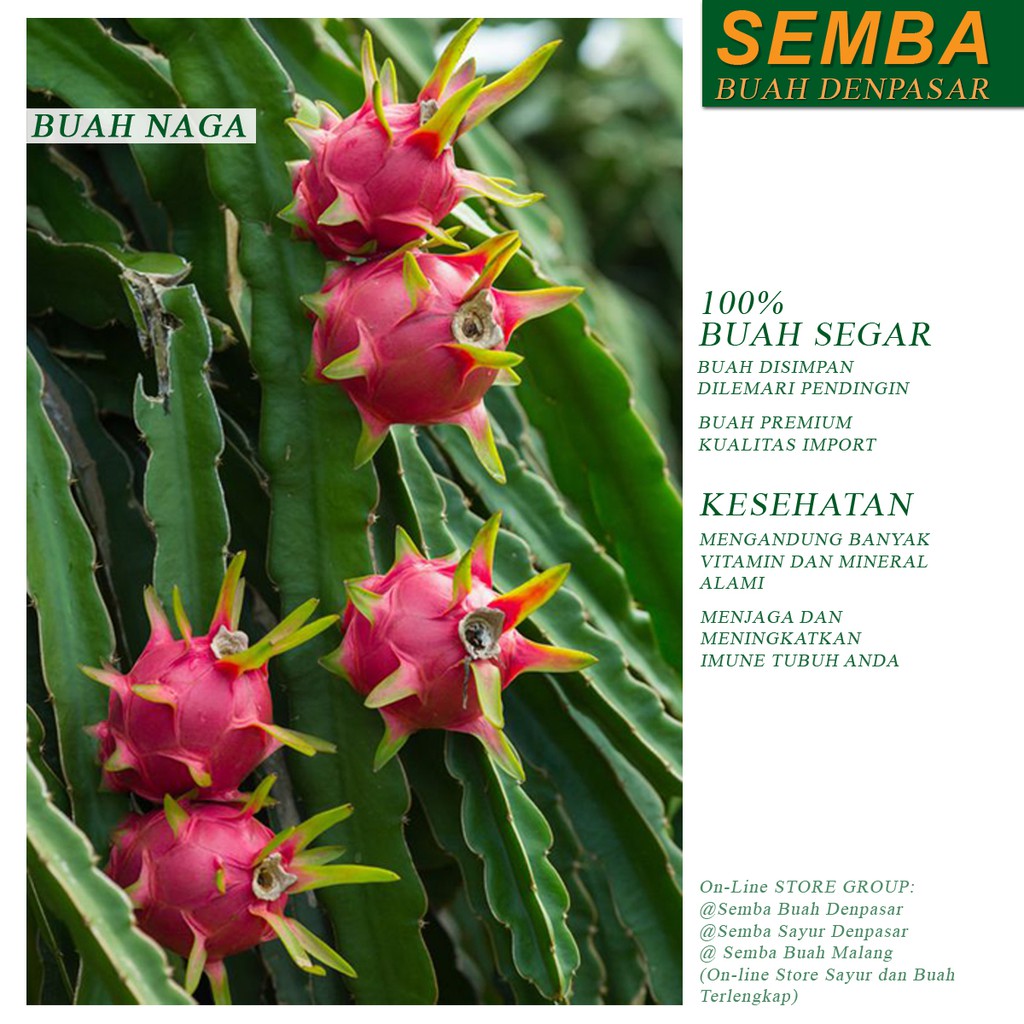 

BUAH NAGA fruit sayuran sembako food makanan pangan fresh segar murah complete segar DENPASAR BALI