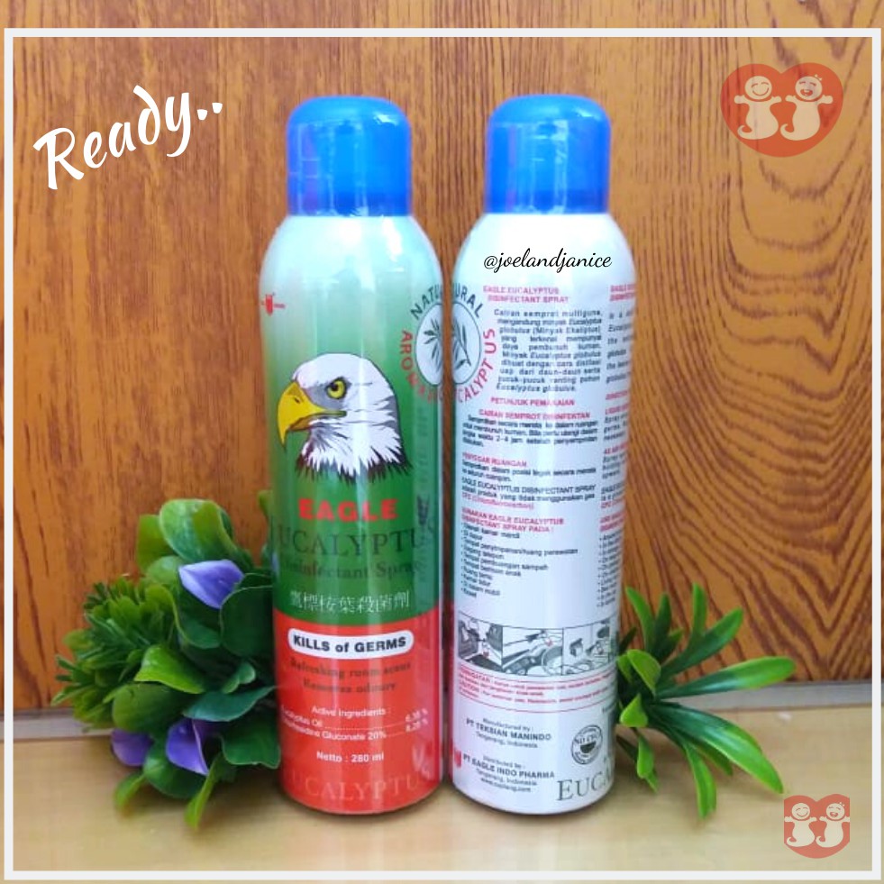 Eagle Eucalyptus Disinfectant Spray