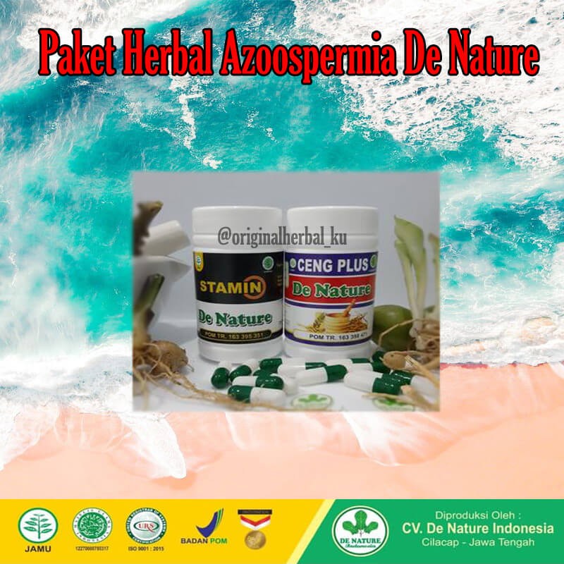obat Herbal azoospermia / azoosperma