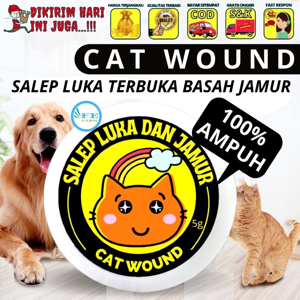 Obat Jamur dan Luka Hewan | Salep Jamur Kucing &amp; Anjing | Obat Luka Kulit Anjing Kucing CAT WOUND FEFARM