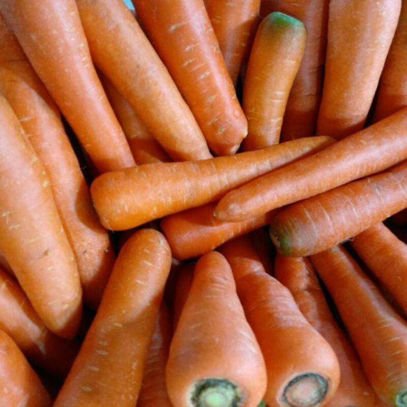 

Wortel berastagi fresh 1kg