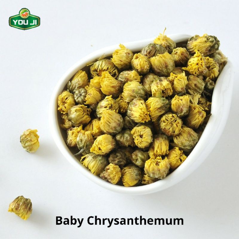 

Baby Chrysanthemum