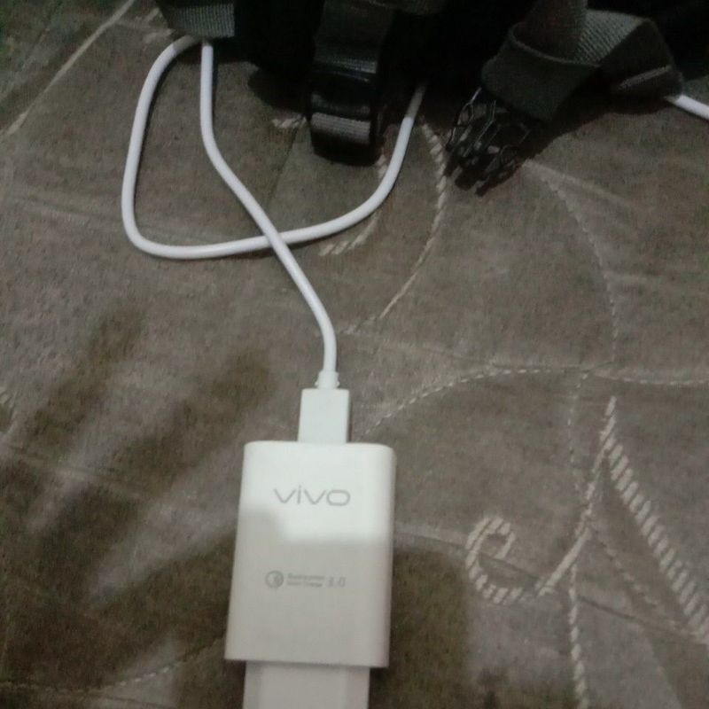 cas hp vivo