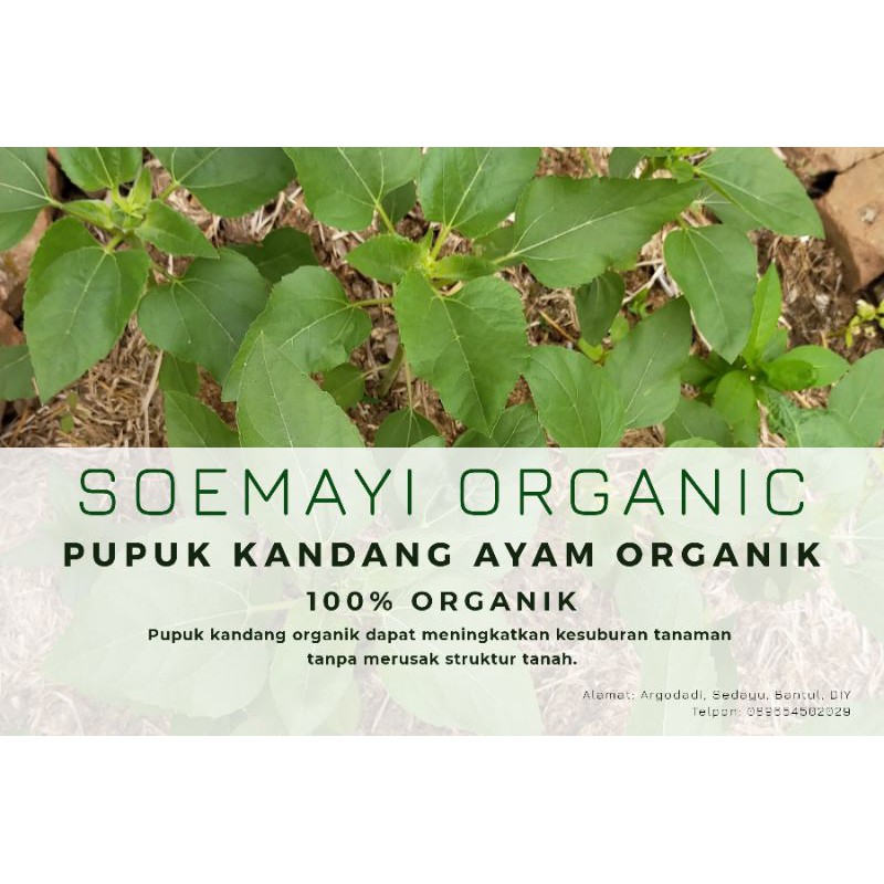 PUPUK KANDANG AYAM ORGANIK