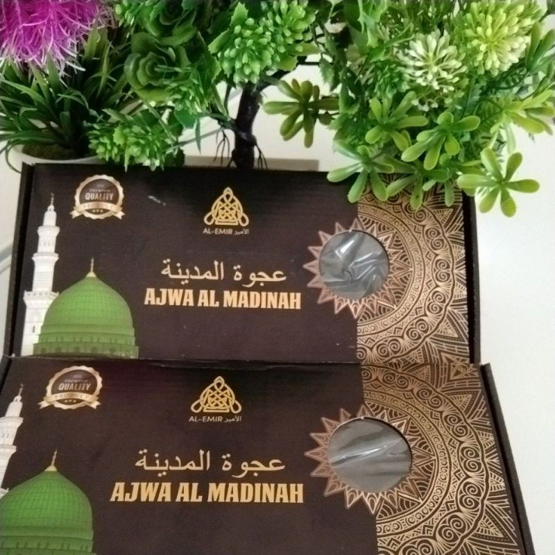 

Ajwa Madinah kurma Nabi 500g