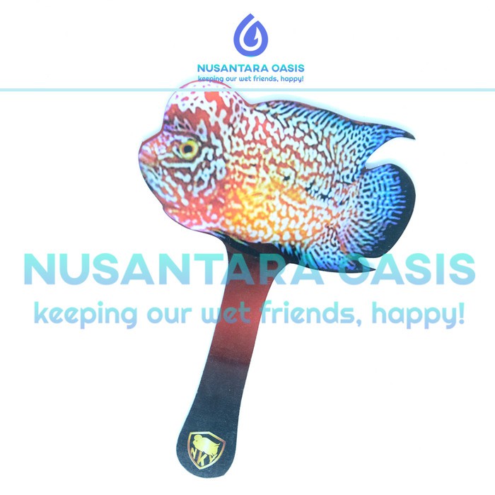 WAYANG / UNTULAN IKAN LOUHAN ATAU PERROT