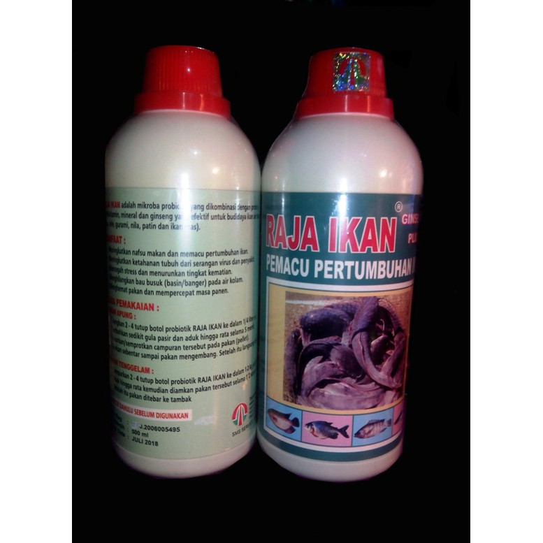 RAJA IKAN (MEMACU PERTUMBUHAN IKAN)