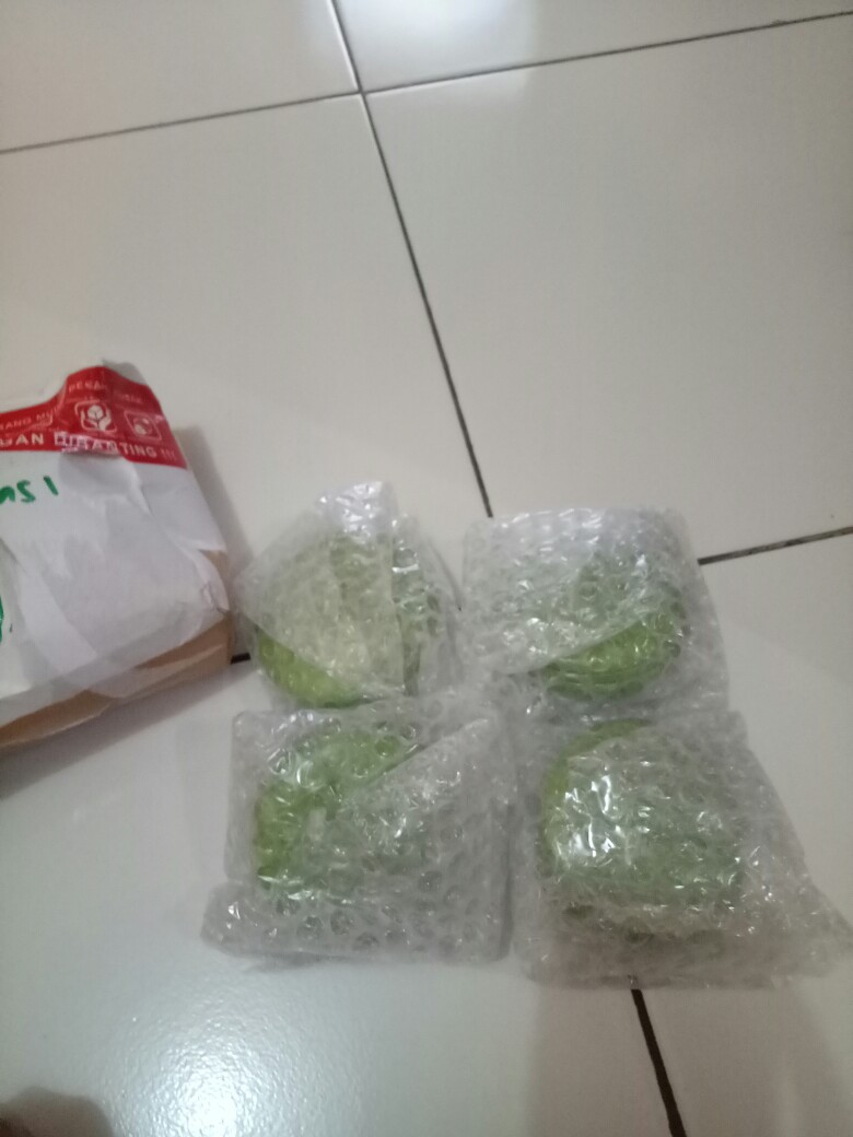 Set Tutup & Alas Gelas Melamine Hijau