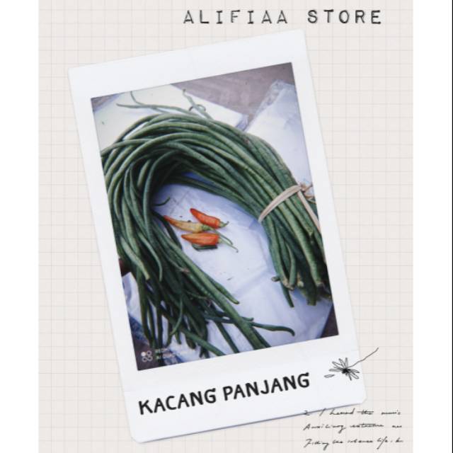 

Kacang panjang