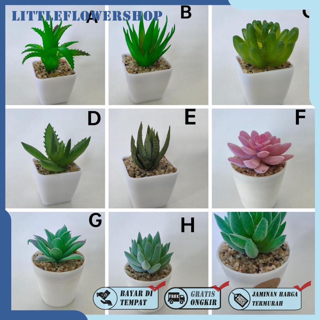 KAKTUS SKULEN COD KAKTUS HIAS ARTIFISIAL BUNGA KAKTUS PALSU BK2203