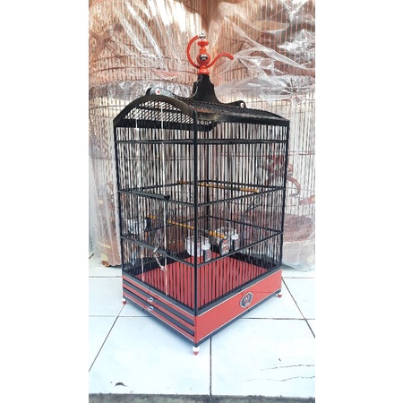 SANGKAR EBOD JAYA KOTAK  LIST WARNA ORANGE KOMPLIT//AKSESORIS