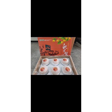 

pear singo gift pack