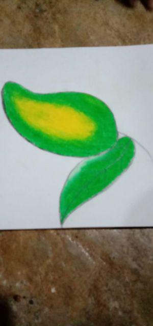 Tempat Penyimpanan Piring