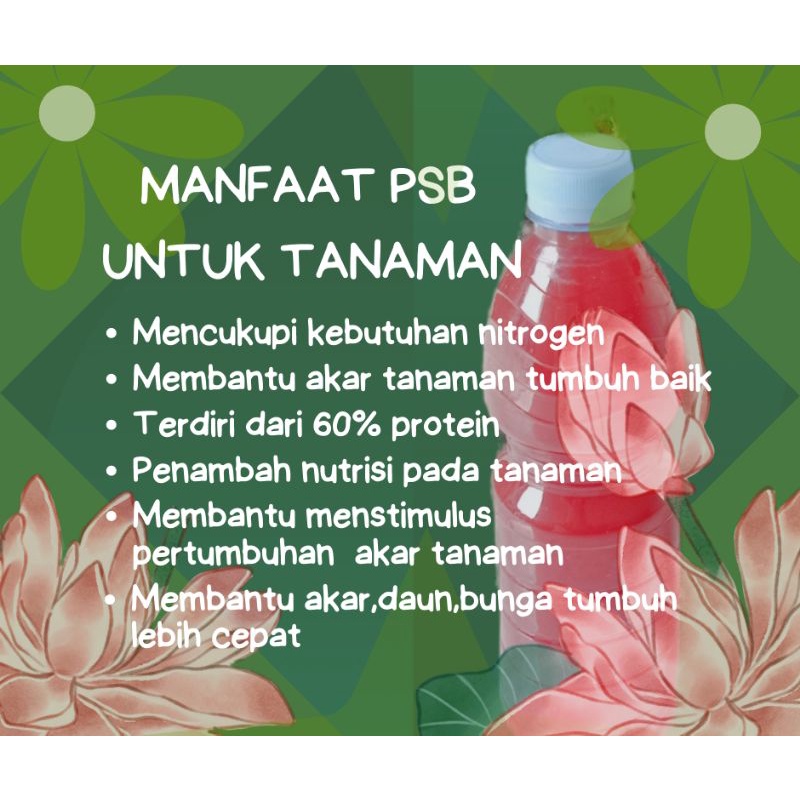 PSB bakteri photosintesis