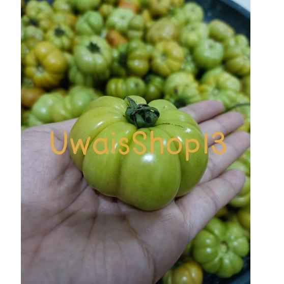 

Best Produk Tomat ranti ( tomat khusus sambel tempong khas Banyuwangi ) berat 500gr. 39