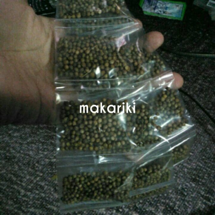 

New ketumbar rentengan