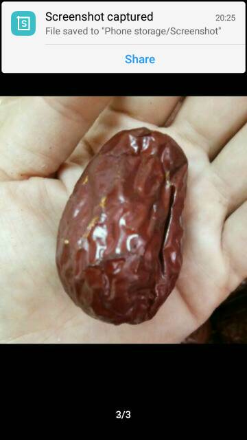 RED DATES PREMIUM / ANGCO SUPER JUMBO(BIG SIZE) 500 GRAM