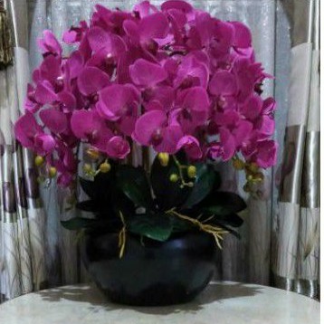 RANGKAIAN ANGGREK SUPER PREMIUM quality orchid flowers anggrek latex