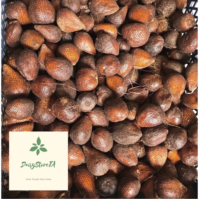 

Salak pondoh manis 1 kg kecil / krill langsung dari pohonnya